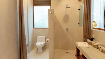 Baño con inodoro, ducha y tocador con espejo.