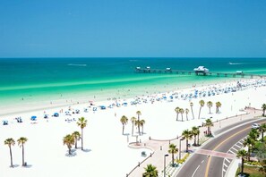 A beach with a pier, palm trees, and a road curving around the beach. - Twin Oaks Luxury Heated Pool and Caribbean Tiki Bar Near Indian Rocks Beach (Largo)