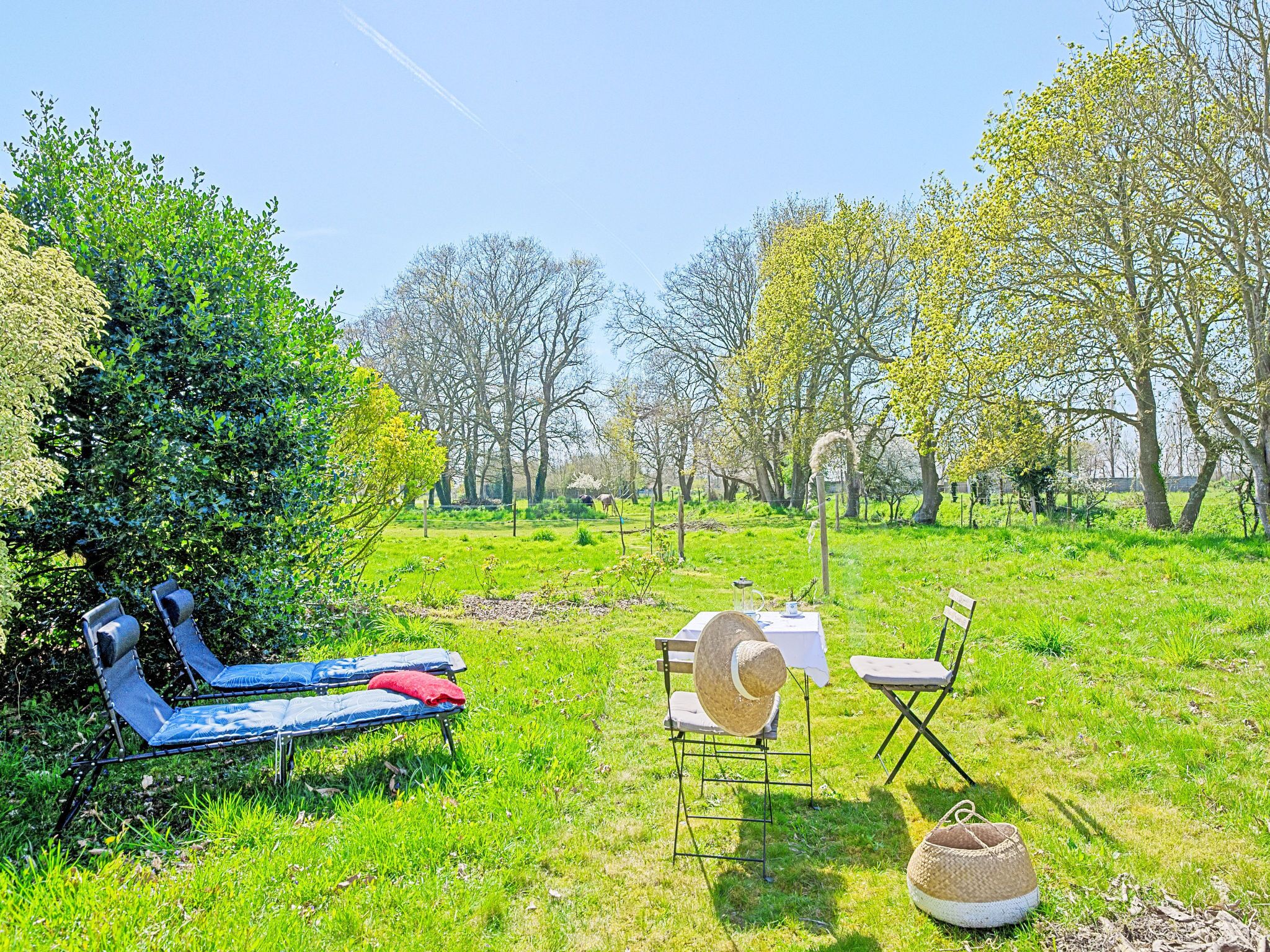 A grassy outdoor area with a table set for two, a chair, and a lounge chair.