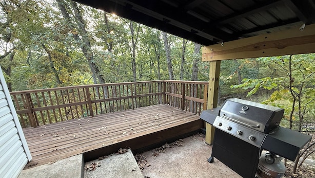Eine überdachte Terrasse mit Grill und Propangasflasche.