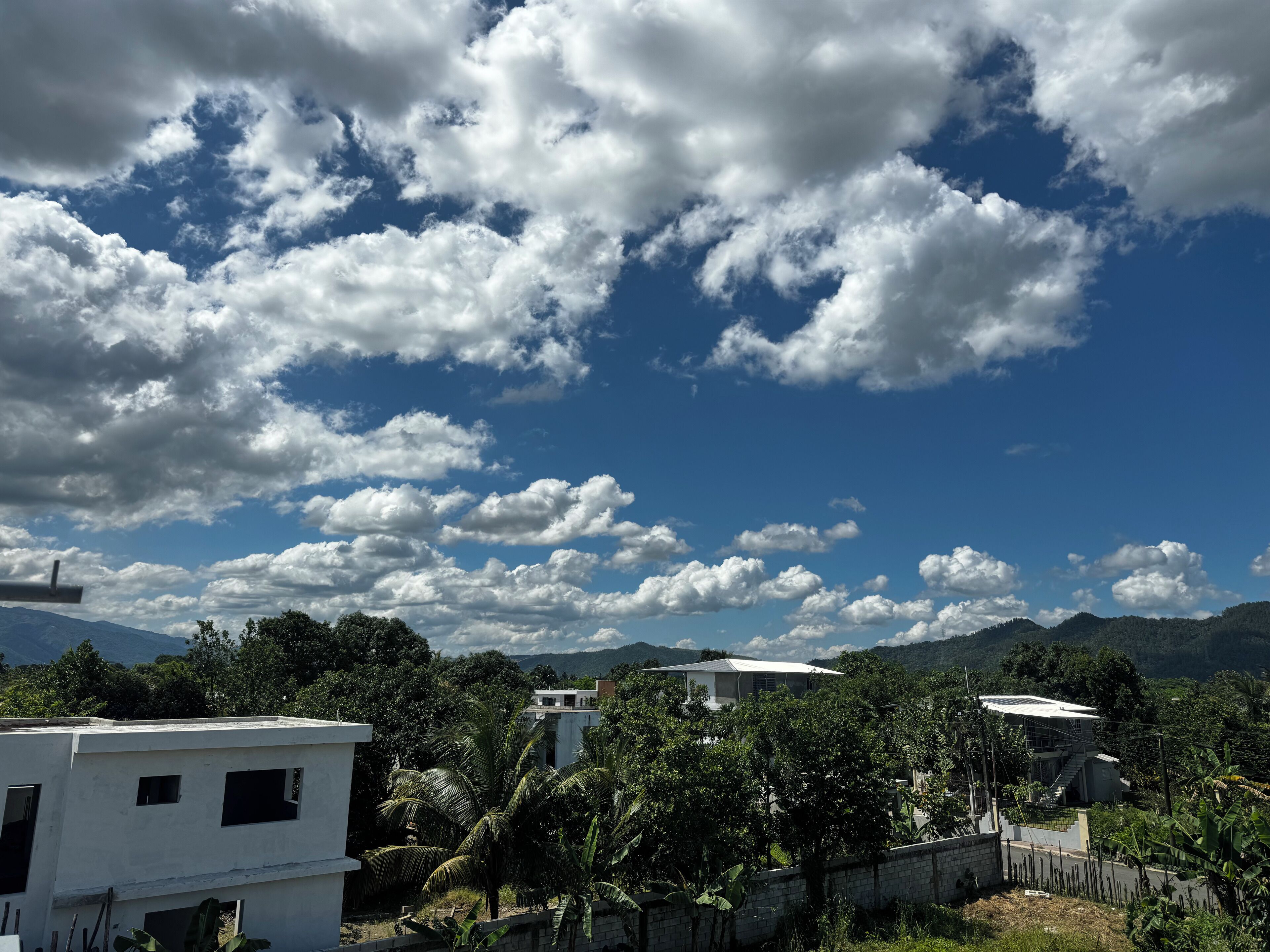 Un quartier résidentiel avec des maisons blanches, une végétation luxuriante et un ciel bleu clair parsemé de quelques nuages.