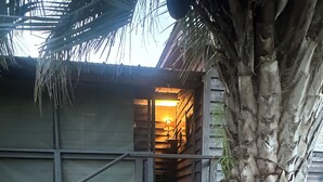 Edificio de madera con una escalera que conduce a un interior iluminado, una palmera y dos sillas de metal sobre una superficie cubierta de mantillo.