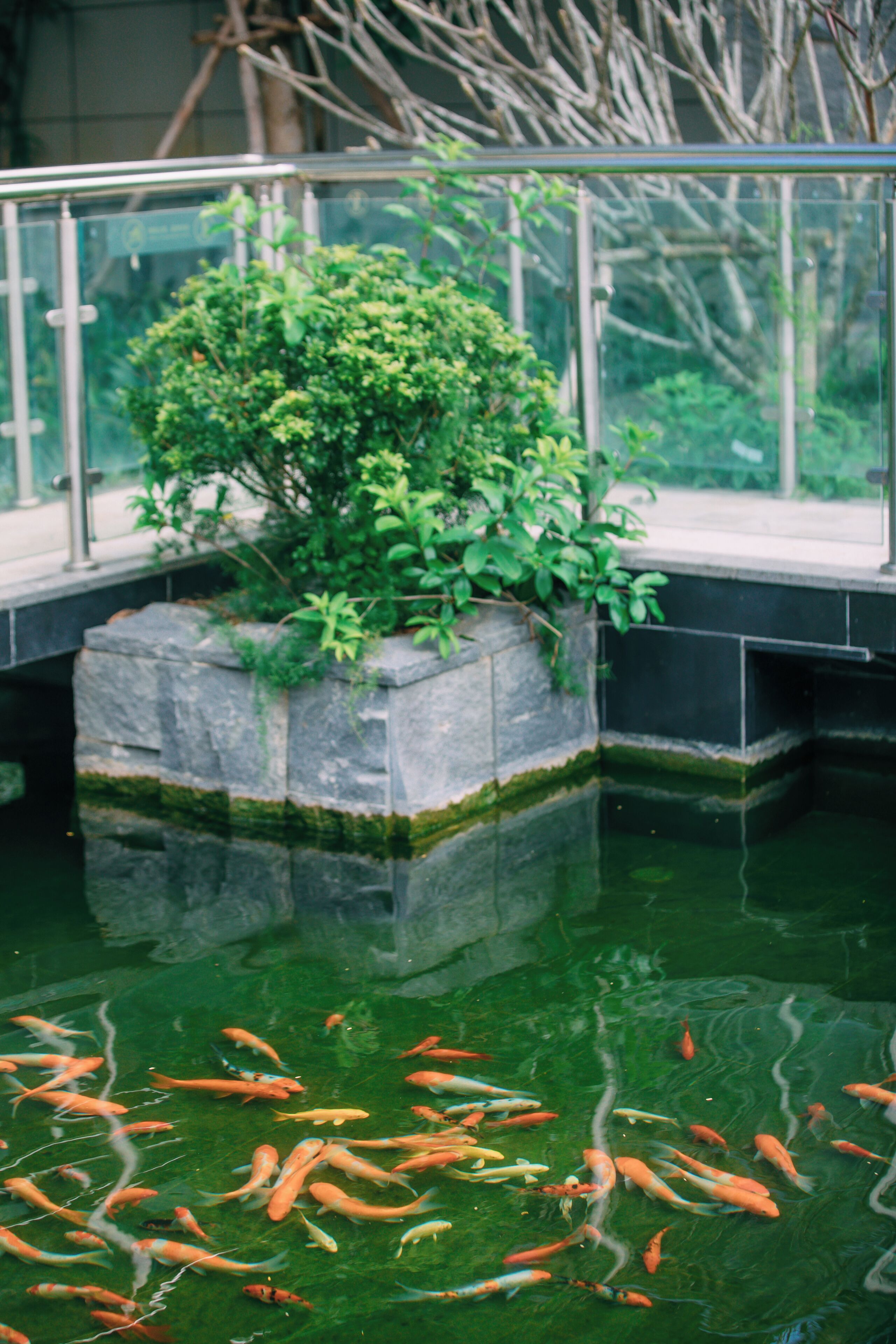 Foto - Sanya Yalong Bay No.99 Resort Hotel