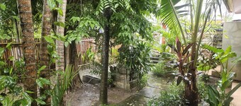 Two Brothers Guesthouse a comfortable budget accommodation in Legian