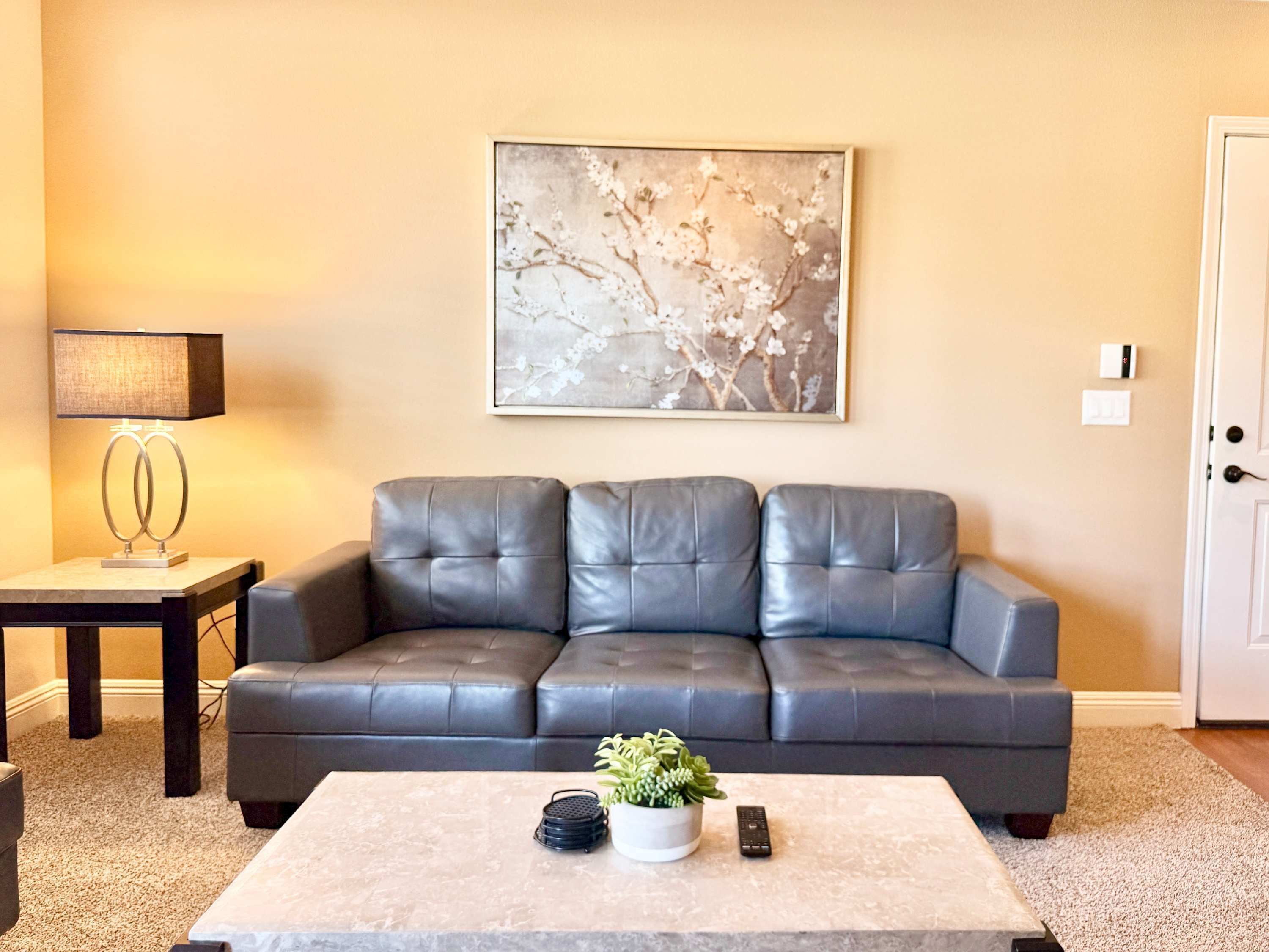 A living room with a grey leather sofa, a coffee table with a plant and remote controls, a lamp, and a wall-mounted artwork.