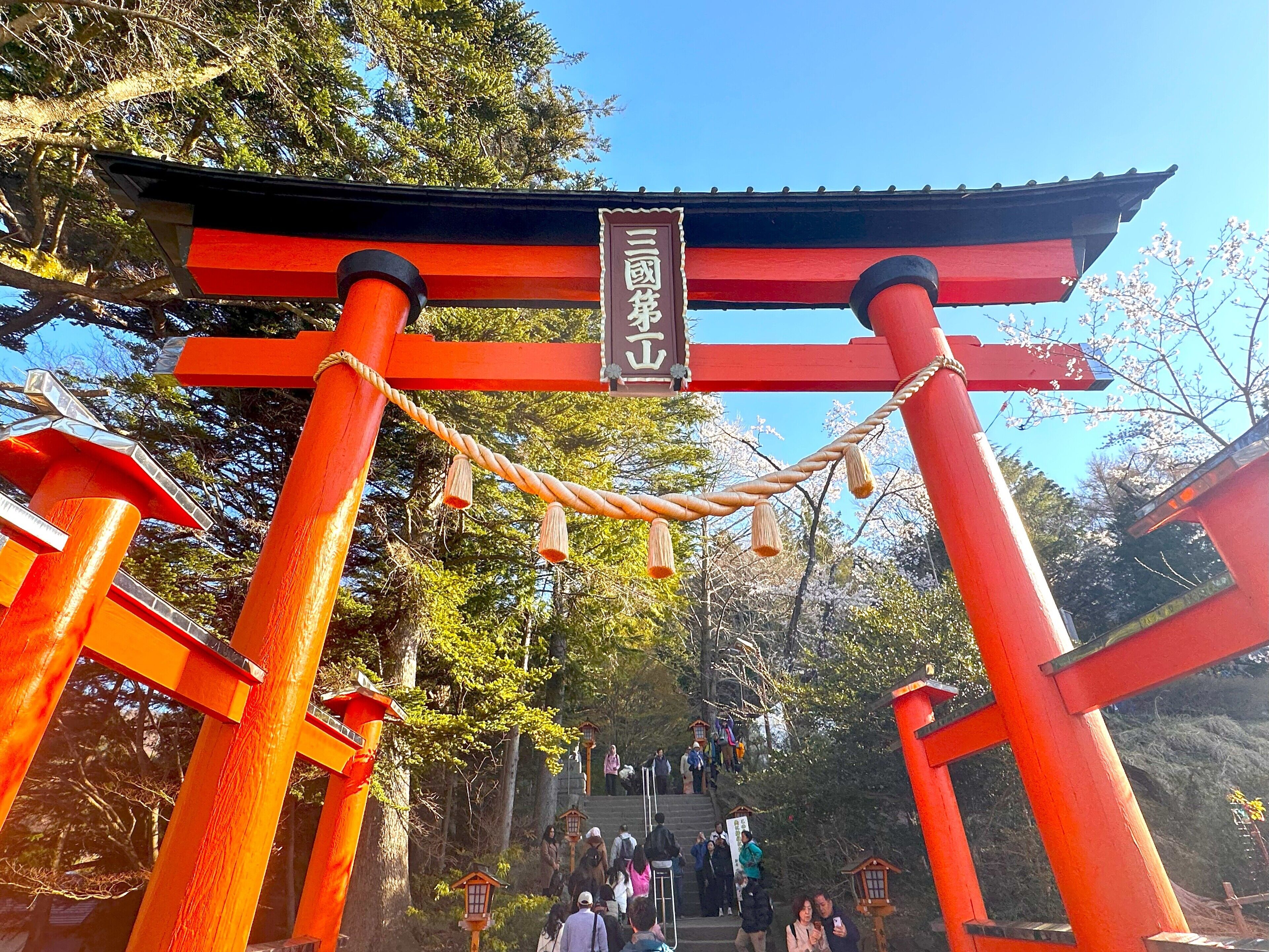 Un torii traditionnel japonais, agrémenté d’une pancarte, mène à un escalier bordé d’arbres.