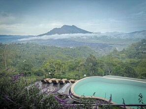 Outdoor pool - Caldera Hotel & Restaurant (Kintamani)