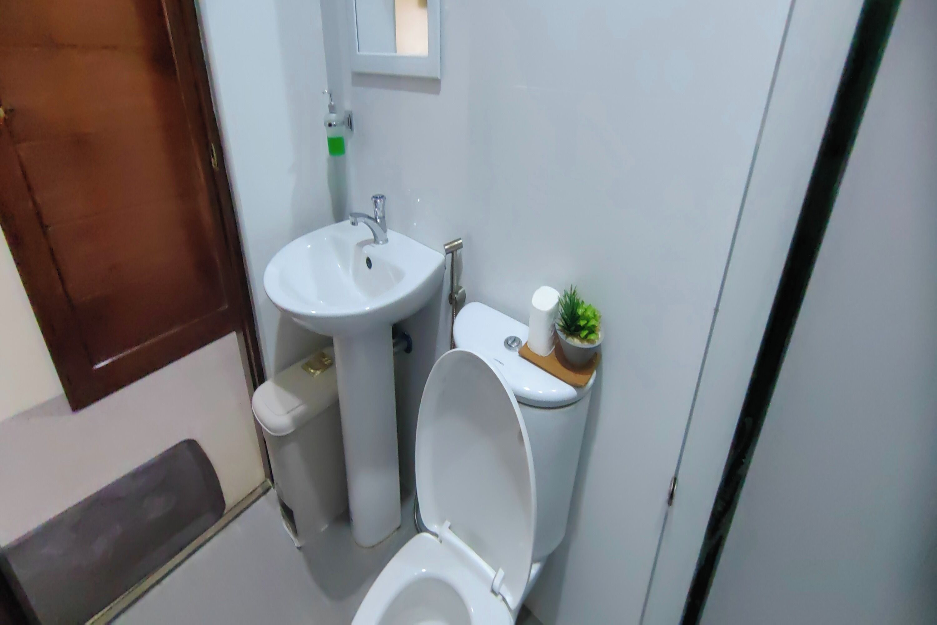 Un baño compacto con lavamanos blanco, inodoro y una pequeña planta en maceta sobre el tanque.