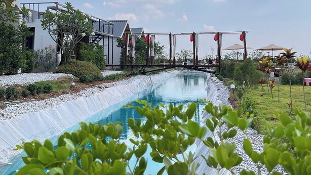 A swimming pool with a bridge, surrounded by greenery and a clear sky.
