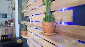 A wooden wall with horizontal slats, each holding a terracotta pot with a cactus. - Bed Station Hostel Krabi (Krabi)