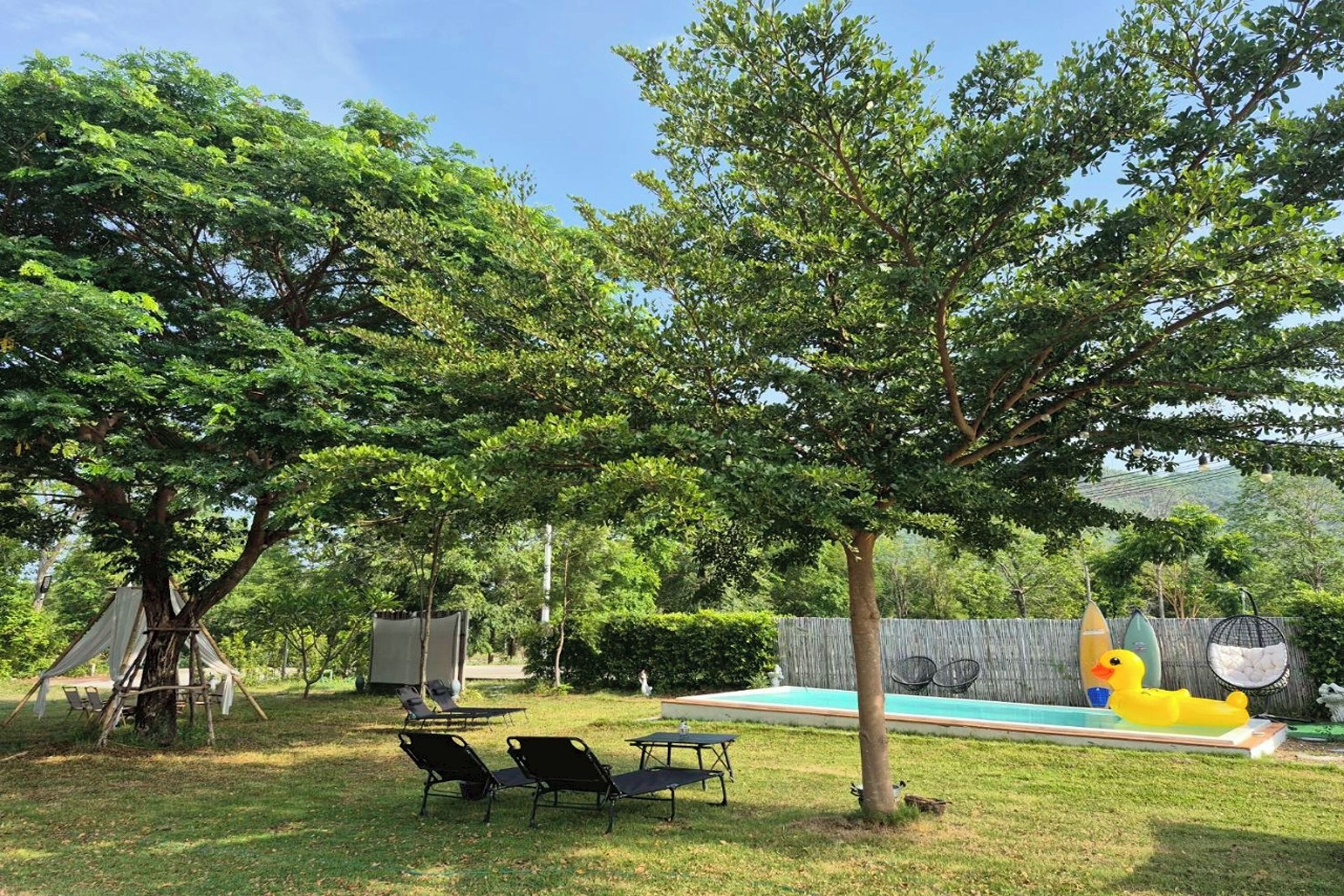 Ein Garten mit Pool, Liegestühlen und einem Baum.