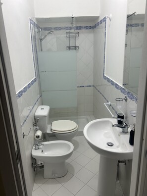 Sèche-cheveux, serviettes fournies, papier toilette