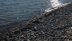 Ein klarer Himmel, ruhiges Wasser und eine felsige Küste.