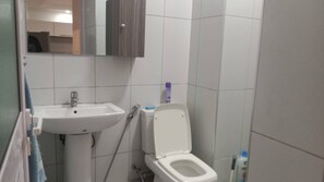 Douche, séchoir à cheveux, serviettes fournies