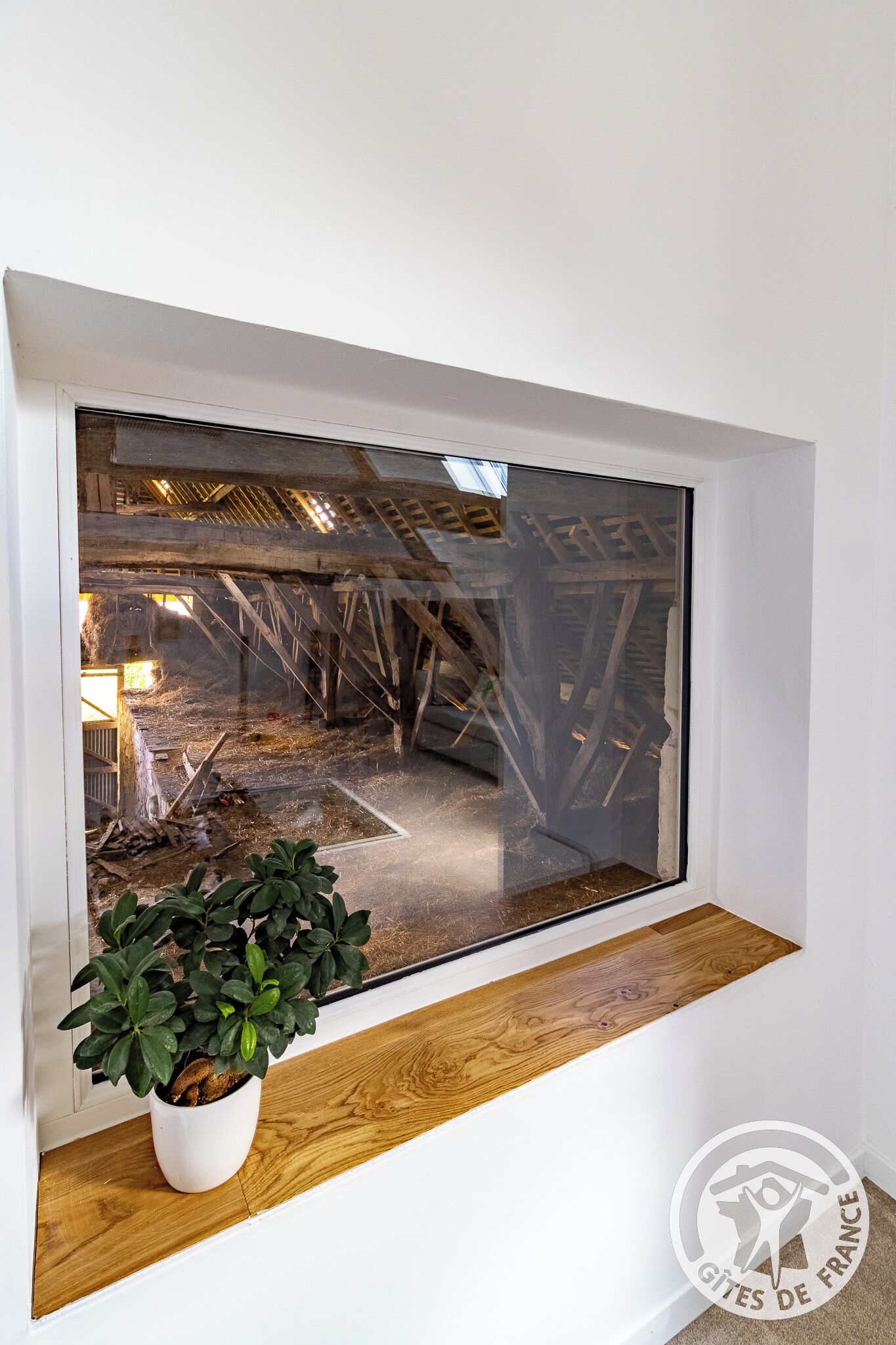 A window with a view of a wooden structure, a potted plant on the sill, and a logo in the corner.