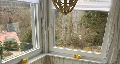 Vacation in Finsterbergen in a cozy vacation home for 5 guests, idyllic location