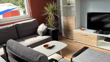 Télévision, cheminée, baby-foot, livres