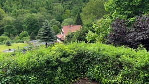 A lush green landscape with a red-roofed building surrounded by dense foliage. - Vacation in Finsterbergen in a cozy vacation home for 5 guests, idyllic location (Friedrichroda)