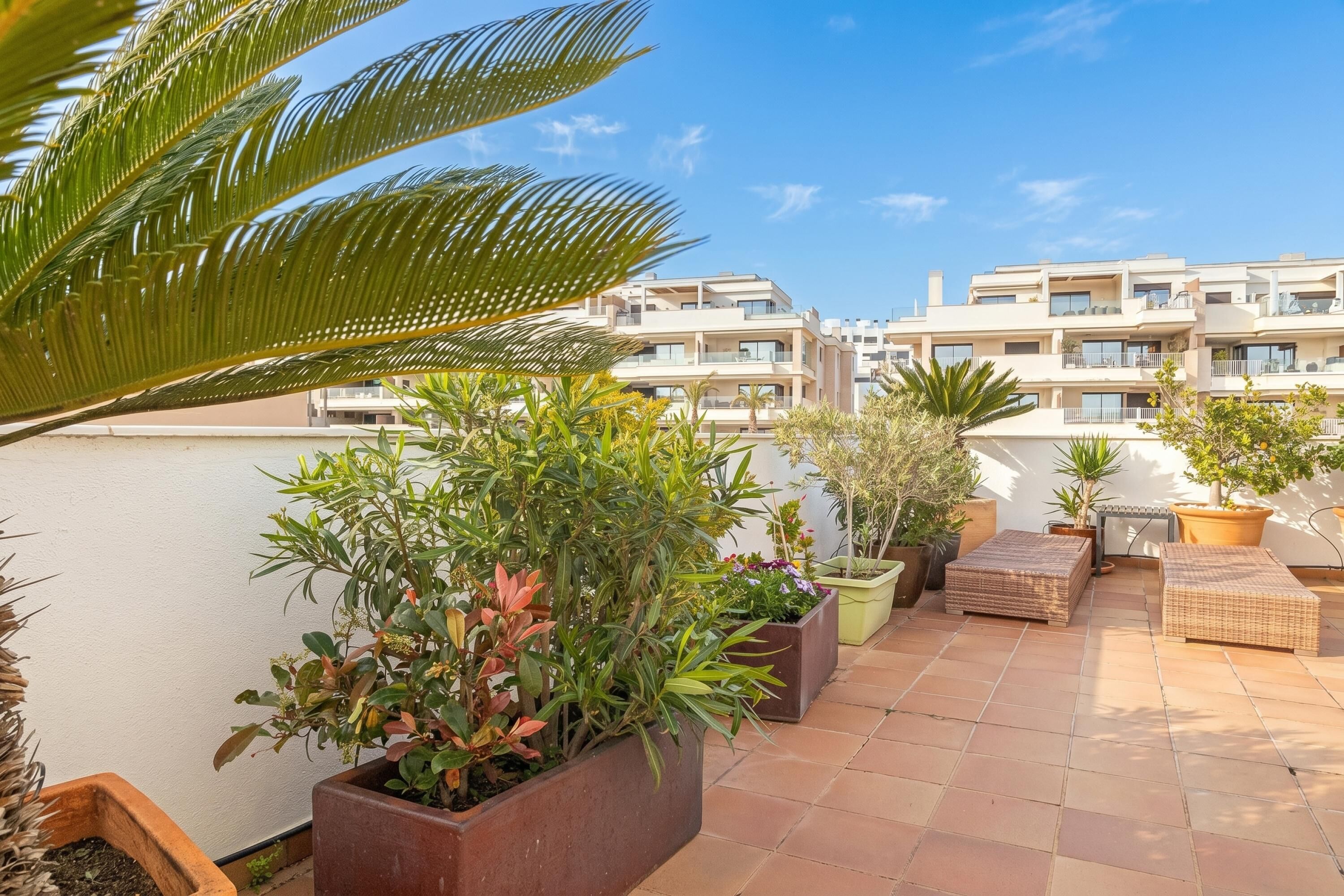 Una terraza en la azotea con plantas en macetas, muebles de exterior y vistas de edificios residenciales.