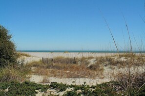 On the beach - Beachfront, Pool Access, Balcony w/ Oceanview | 222 D Shipwatch by AvantStay (Isle Of Palms)