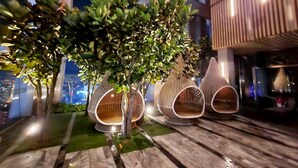 Un jardín en la azotea con un árbol grande y tres macetas colgantes.