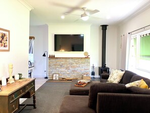 Smart TV, fireplace, books