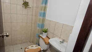 Une petite salle de bain avec des toilettes, un lavabo et une douche.