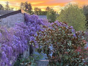 Overnatningsstedets område