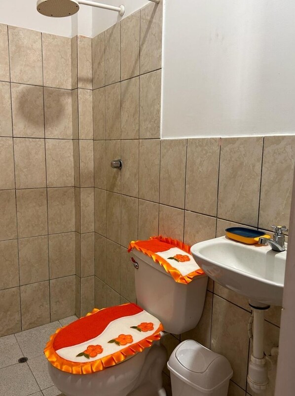 Douche de la salle de bain