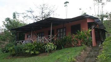 Esterni