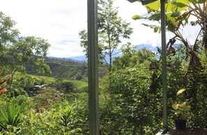 Property grounds - Cabin # 1 (Provincia de Cartago)