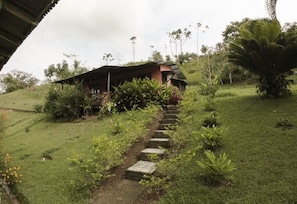 Property grounds - Cabin # 1 (Provincia de Cartago)
