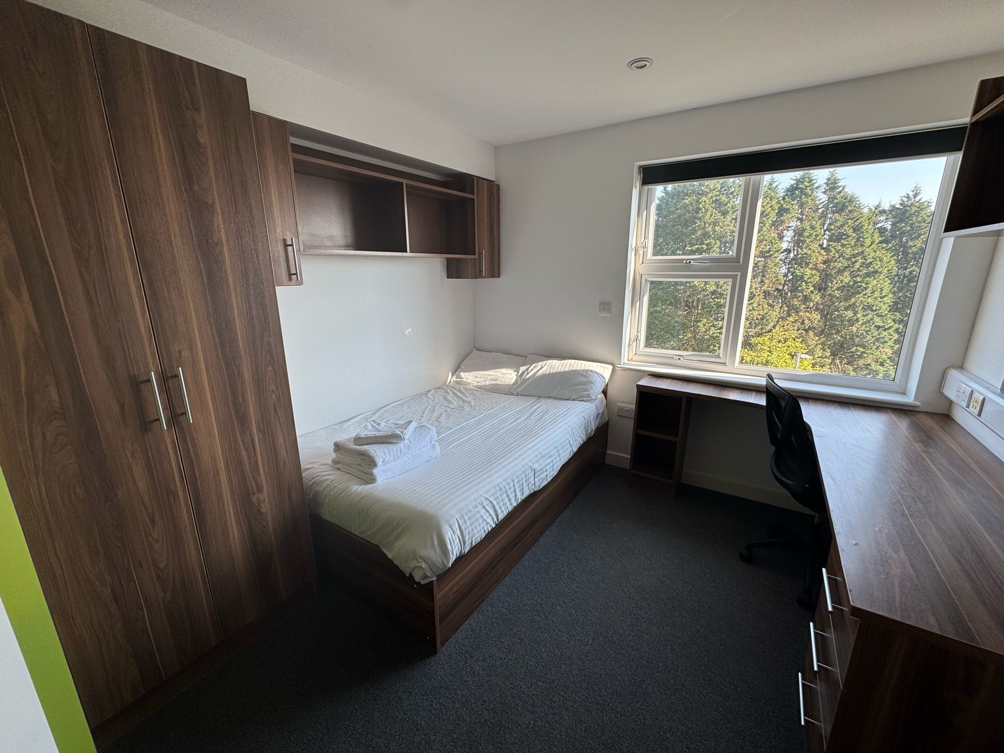 Estudio (1 Bedroom) | Interior