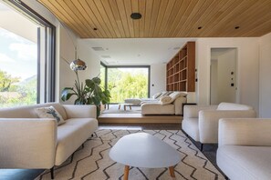 TV connectée, cheminée