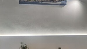A wall-mounted picture of a cityscape, a wooden console table with a bowl and a small vase, and a potted plant. - Boaters' Home 2, Catania (Catania)