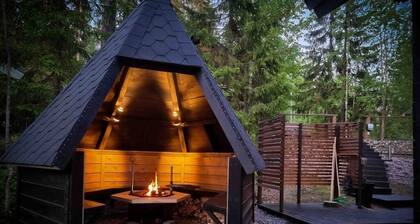 Villa Lumi - for 10, Himos LĂ€nsihuippu