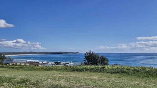 Un paysage côtier avec un ciel dégagé, une plage et un premier plan herbeux.