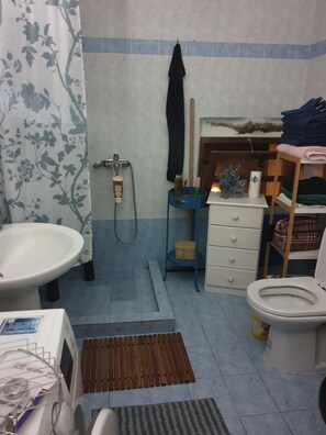 Shower, hair dryer, towels, toilet paper