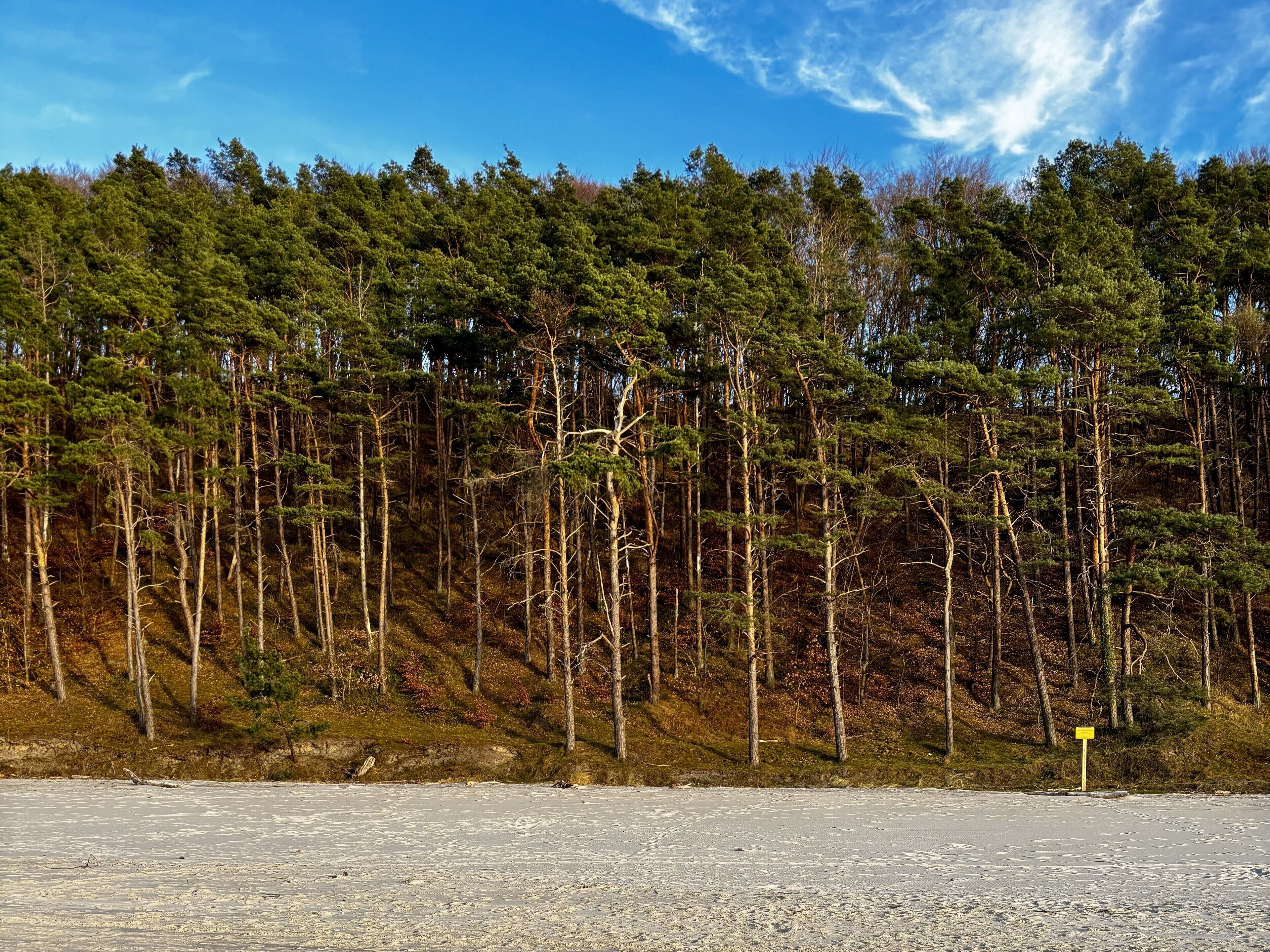 Ein bewaldetes Gebiet mit blauem Himmel.