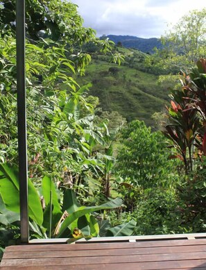Vista desde la propiedad