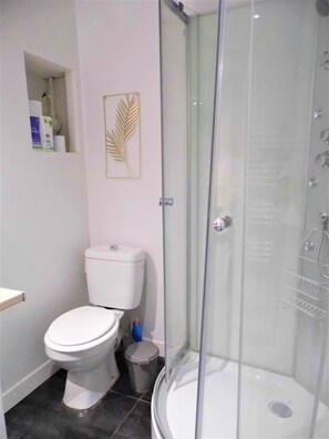 Hair dryer, towels, soap, toilet paper