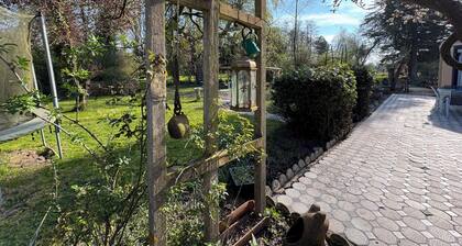 Gßte au coeur du marais Tilques ( ßle privée) sur 1 hectare
