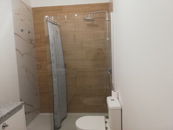 Douche, sèche-cheveux, serviettes fournies, papier toilette