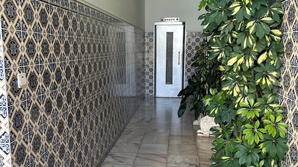 A hallway with patterned tiles, a door, and potted plants. - Casa da Praceta (Porto)