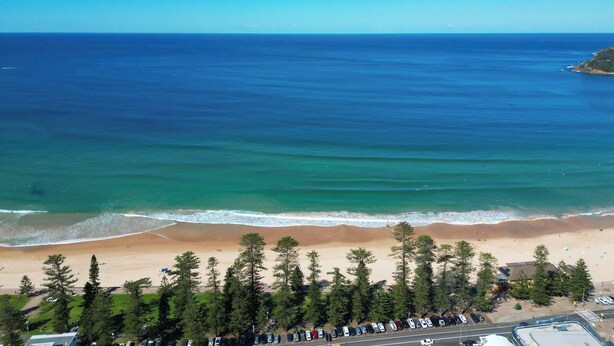 A beach with clear blue water, a sandy shore, and a line of trees in the foreground.