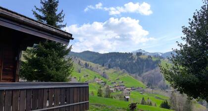 Schönes Ferienhaus für 3 Personen mit TV, Innenhof, Haustiere erlaubt und Panoramablick