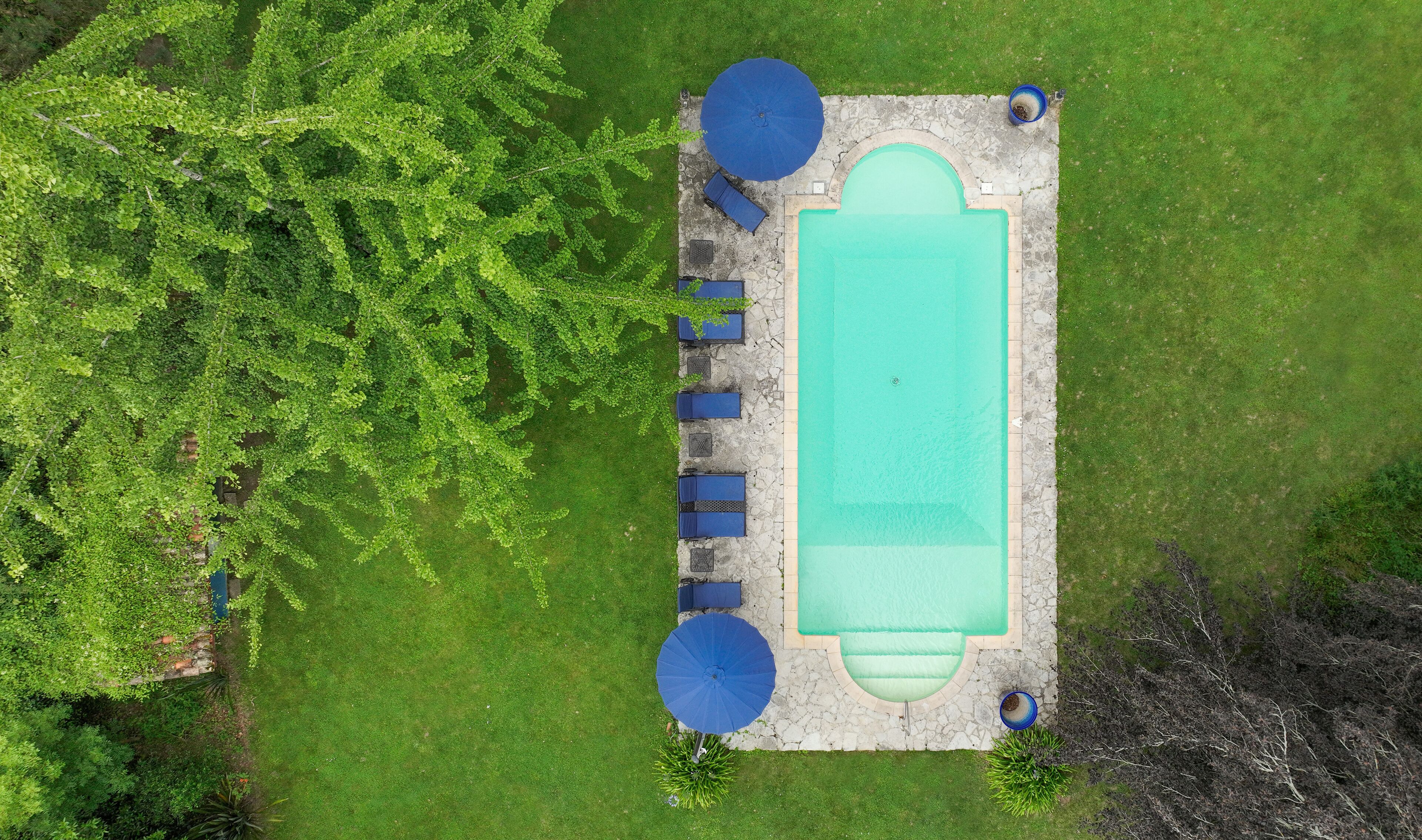 An aerial view of a rectangular swimming pool with a stone deck, surrounded by a grassy area and trees.