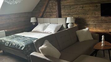 Smart TV, fireplace, books