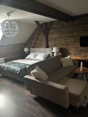 Smart TV, fireplace, books