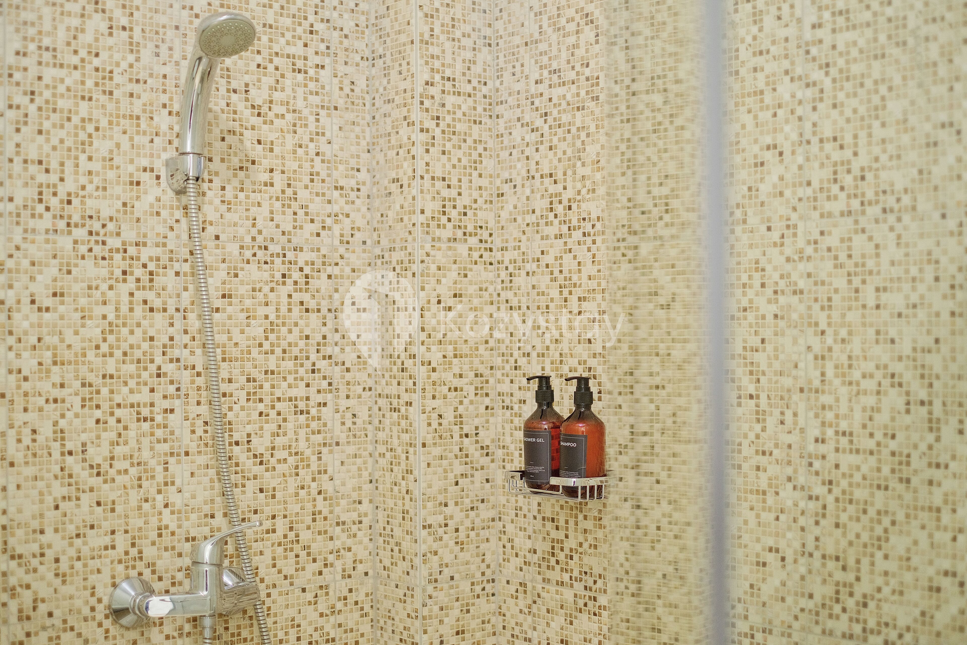 A shower with a mosaic tile wall and a handheld showerhead. There are two bottles of shampoo and conditioner on a shelf.